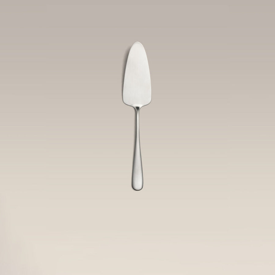 Stainless Steel Dessert Cake Server 9.5 Inch