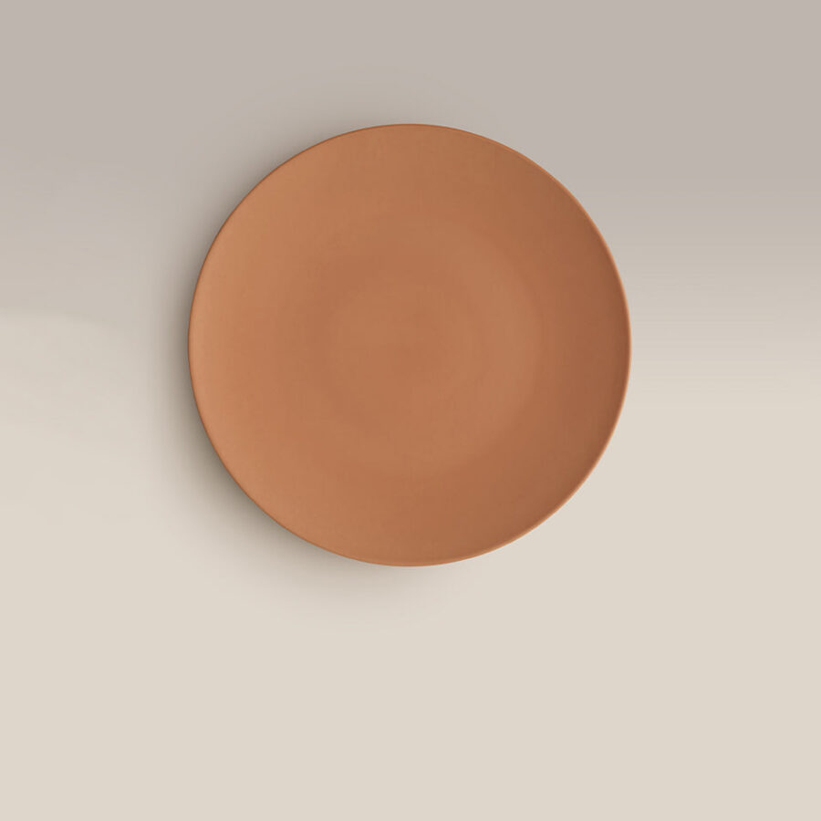 Large Ceramic Appetizer Serving Platter 13.5 Inch